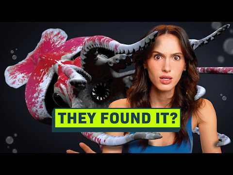 Deep Ocean Secrets: eDNA Reveals Unseen Marine Life