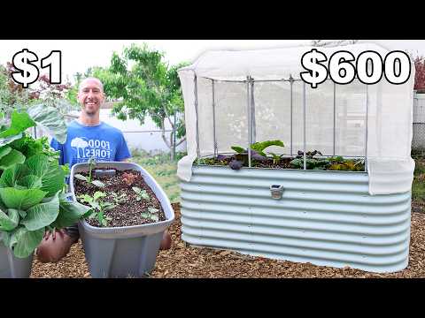 Raised Bed Garden Cost Comparison: $1 vs $600 Beds
