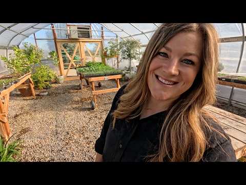 How to Grow Sweet Pea Seeds: Laura's Indoor Starting Guide