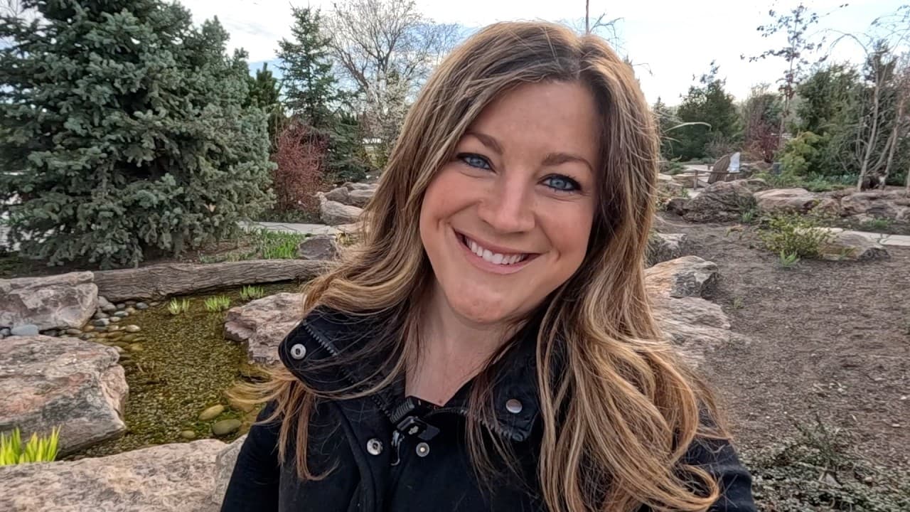 Dogwood Rejuvenation Pruning: Arctic Fire Yellow Dogwood