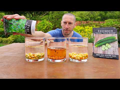 What to Plant in April: 10 Crops for a Full Harvest Season