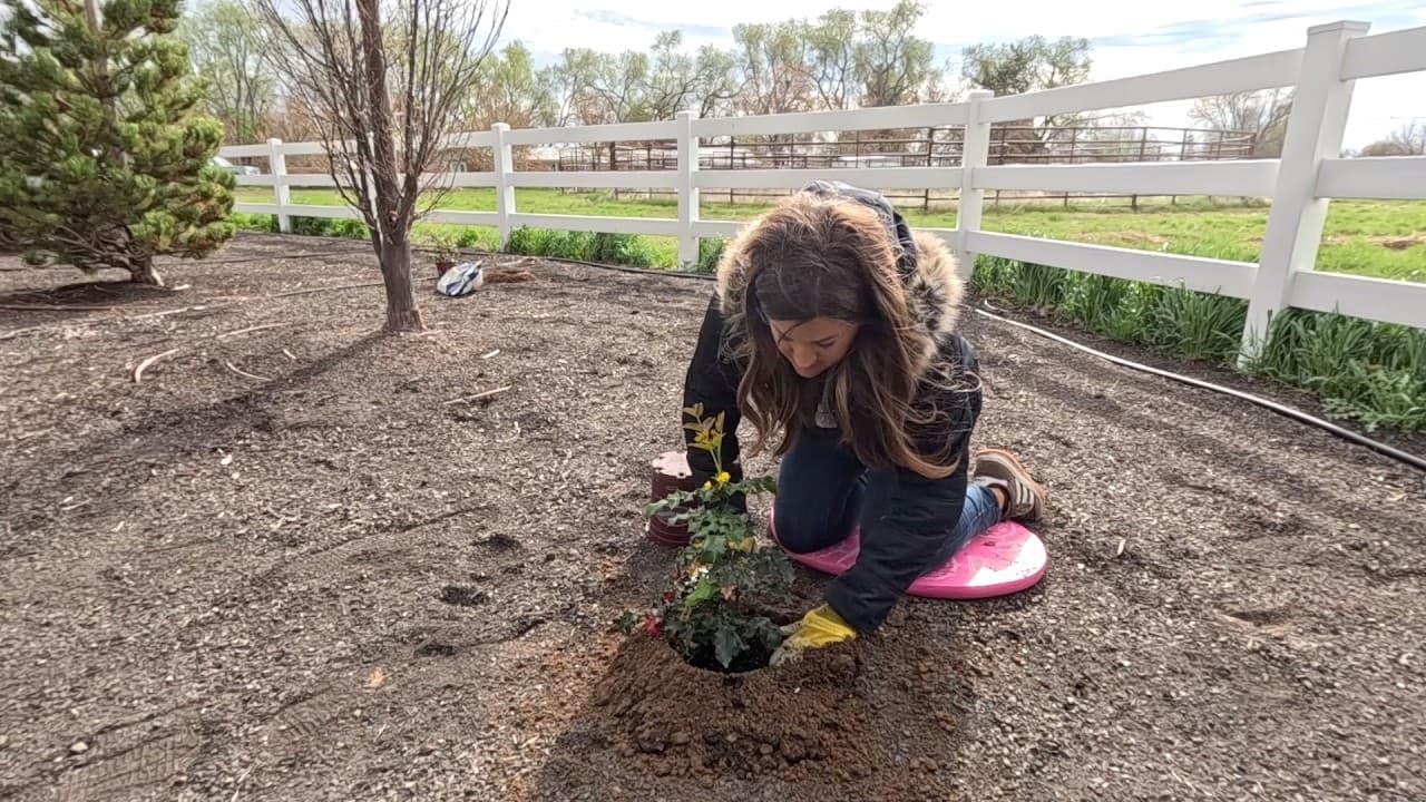 How to Thin Seedlings for Healthy Plant Growth