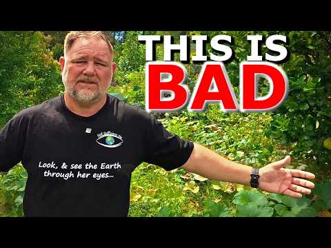 Why Gardens Fail & How to Restart a Neglected Garden