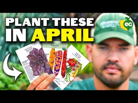 What to Plant in April Garden: Epic Guide 2024