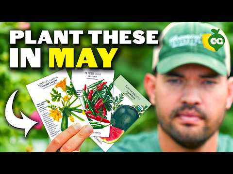 What to Plant in May Garden: 13 Crops for Your Best Harvest Yet