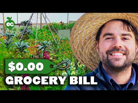 How One Family Learned to Grow 90% of Groceries Home Garden